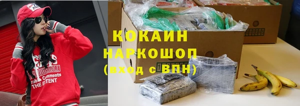 кокс Алексин