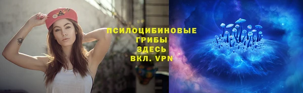 ECSTASY Алексеевка