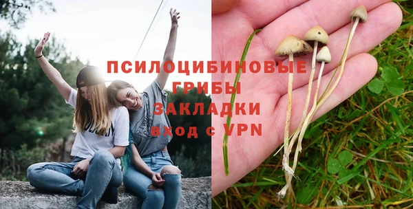 кокс Алексин